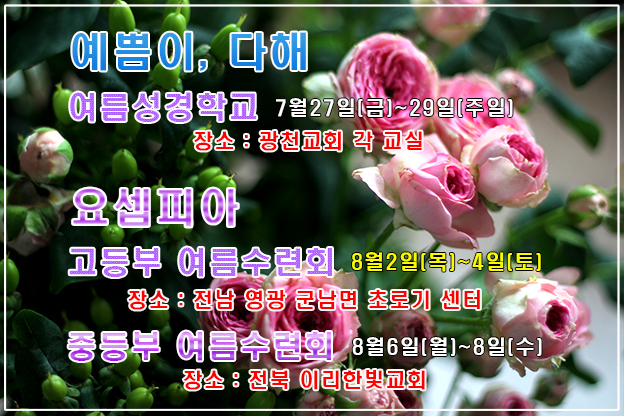 여름교육 팝업.jpg